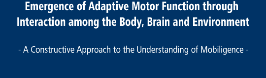 Emergence of Adaptive Motor Function through Interaction among the Body, Brain and Envitonment